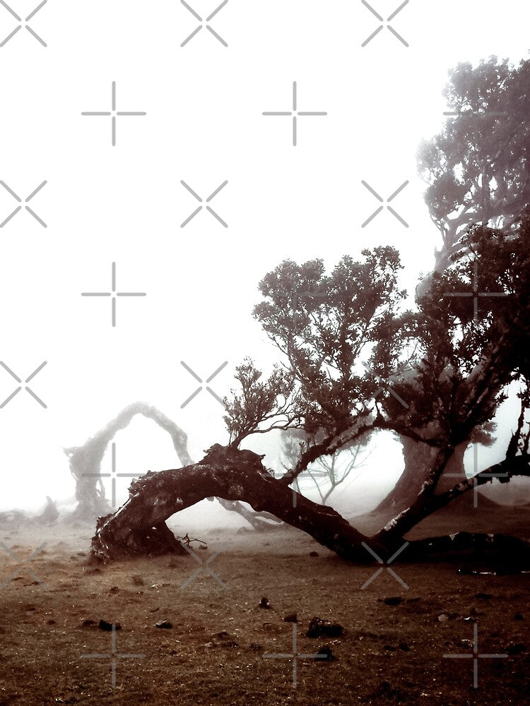 Copy of Madeira Mystical Forest 3 by Interpret108 T-Shirts, Hoodie, Sweatshirt | BlankRebels.com (Image 2)