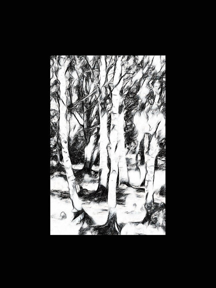 birch forrest by kattilako T-Shirts, Hoodie, Sweatshirt | BlankRebels.com (Image 2)