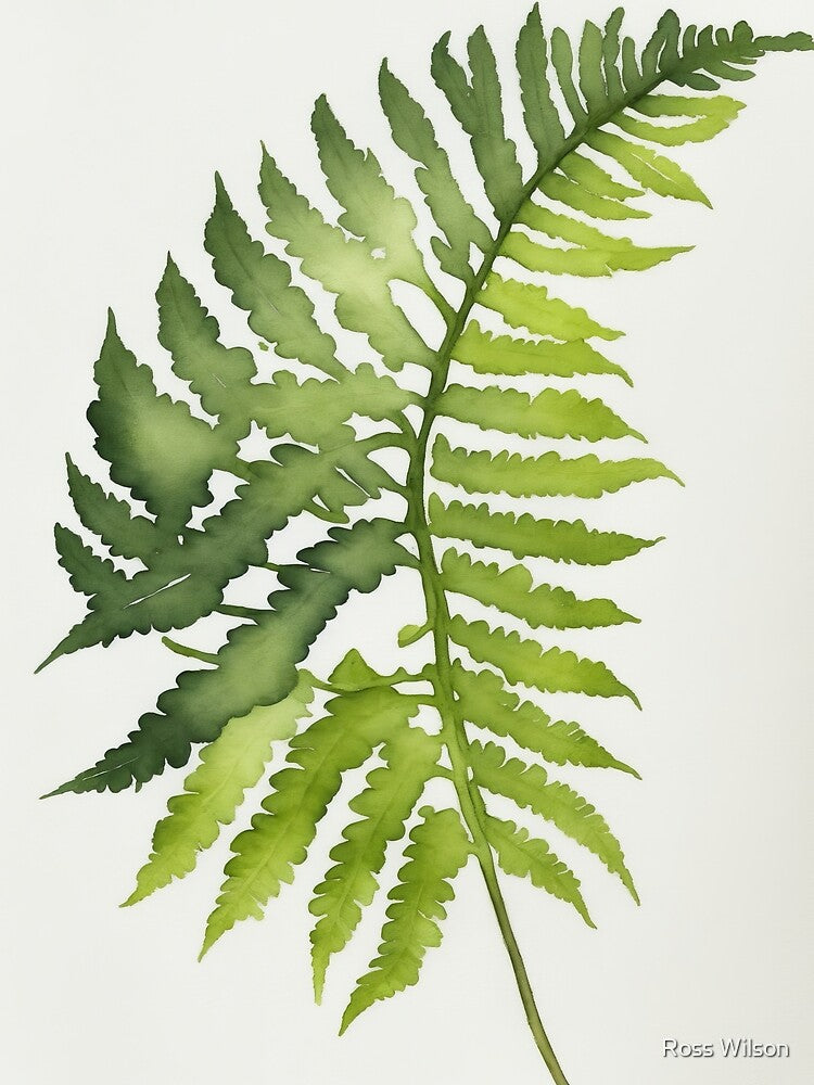 Watercolour Green Fern Leaf Painting by RossWilson12 T-Shirts, Hoodie, Sweatshirt | BlankRebels.com (Image 2)