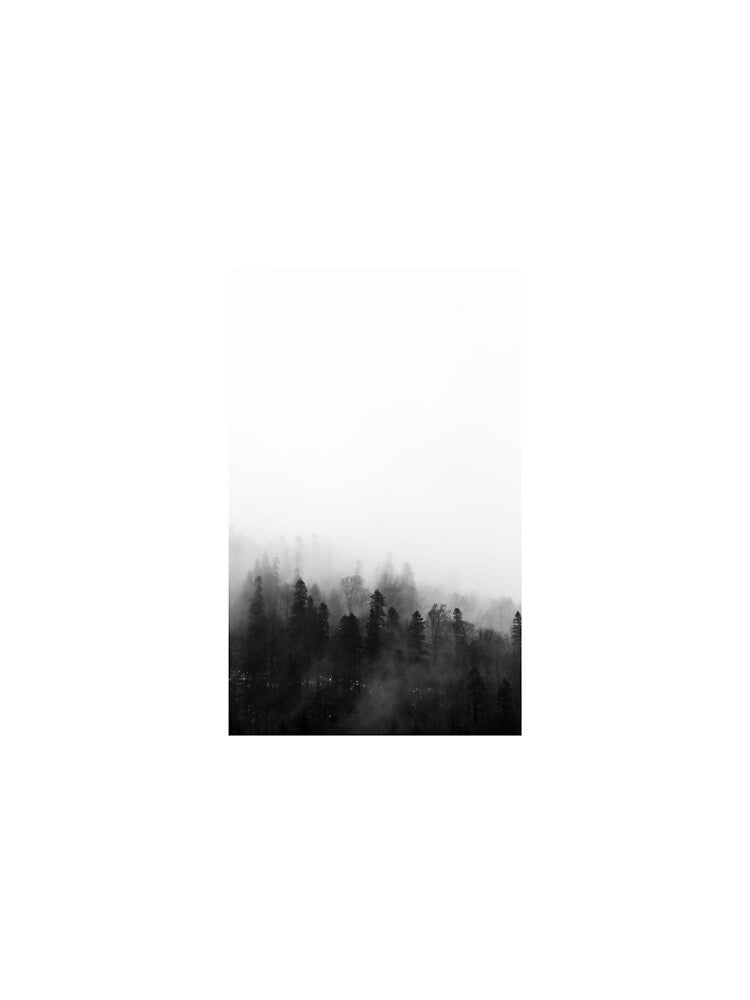 Fantasy Forest in Mist – Moody Black and White Nature Landscape by Nick9780 T-Shirts, Hoodie, Sweatshirt (Image 2)