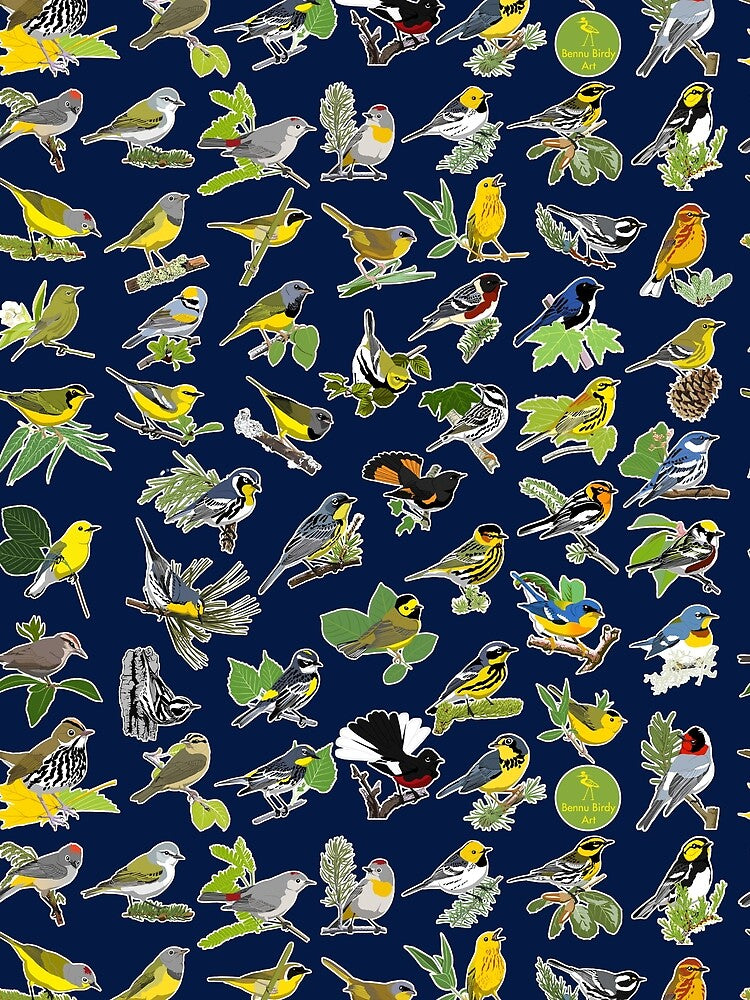 Warblers of the United States by BennuBirdy