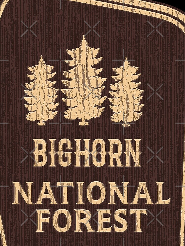 Bighorn national forest by Nature-mark T-Shirts, Hoodie, Sweatshirt | BlankRebels.com (Image 2)