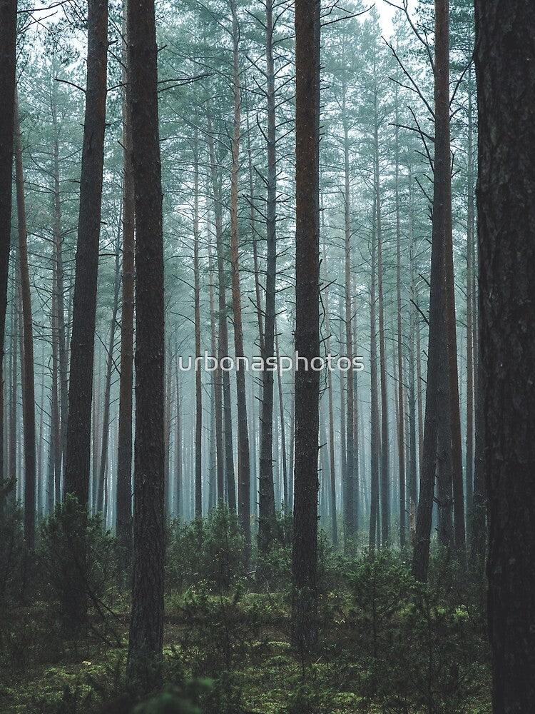 Misty forest by urbonasphotos T-Shirts, Hoodie, Sweatshirt | BlankRebels.com (Image 2)