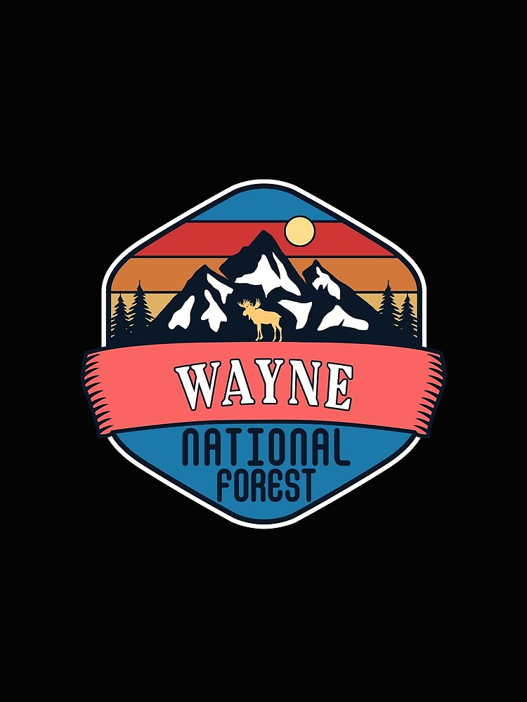 Wayne National Forest by Road-tees Hoodie, Sweatshirt | BlankRebels.com (Image 2)