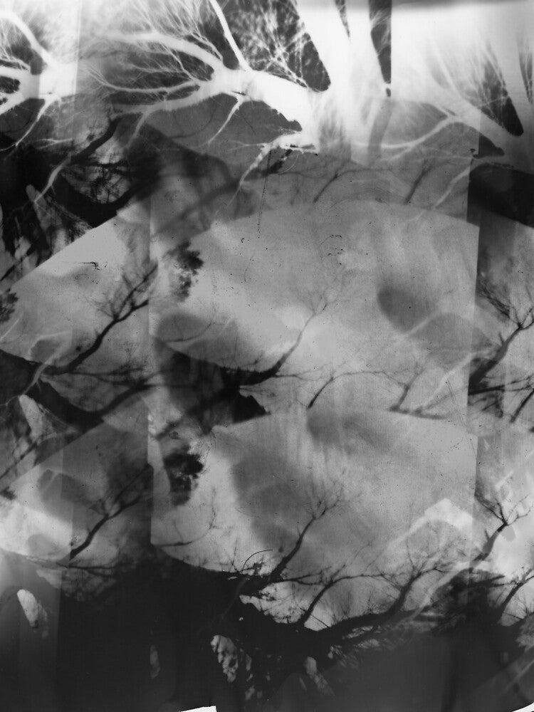 Branches by a-b-photos T-Shirts, Hoodie, Sweatshirt | BlankRebels.com (Image 2)