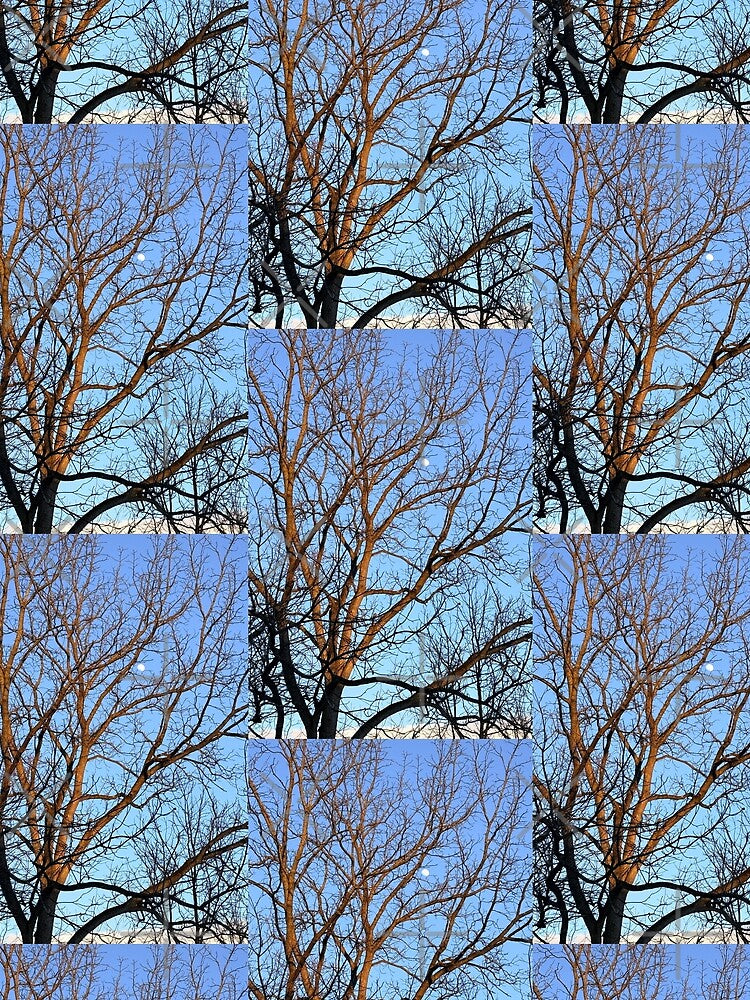 Sunrise branches by Fellowship23 T-Shirts, Hoodie, Sweatshirt | BlankRebels.com (Image 2)