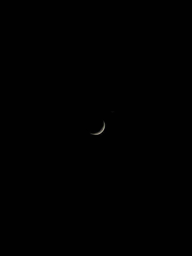 Crescent moon by lunabliss T-Shirts, Hoodie, Sweatshirt | BlankRebels.com (Image 2)