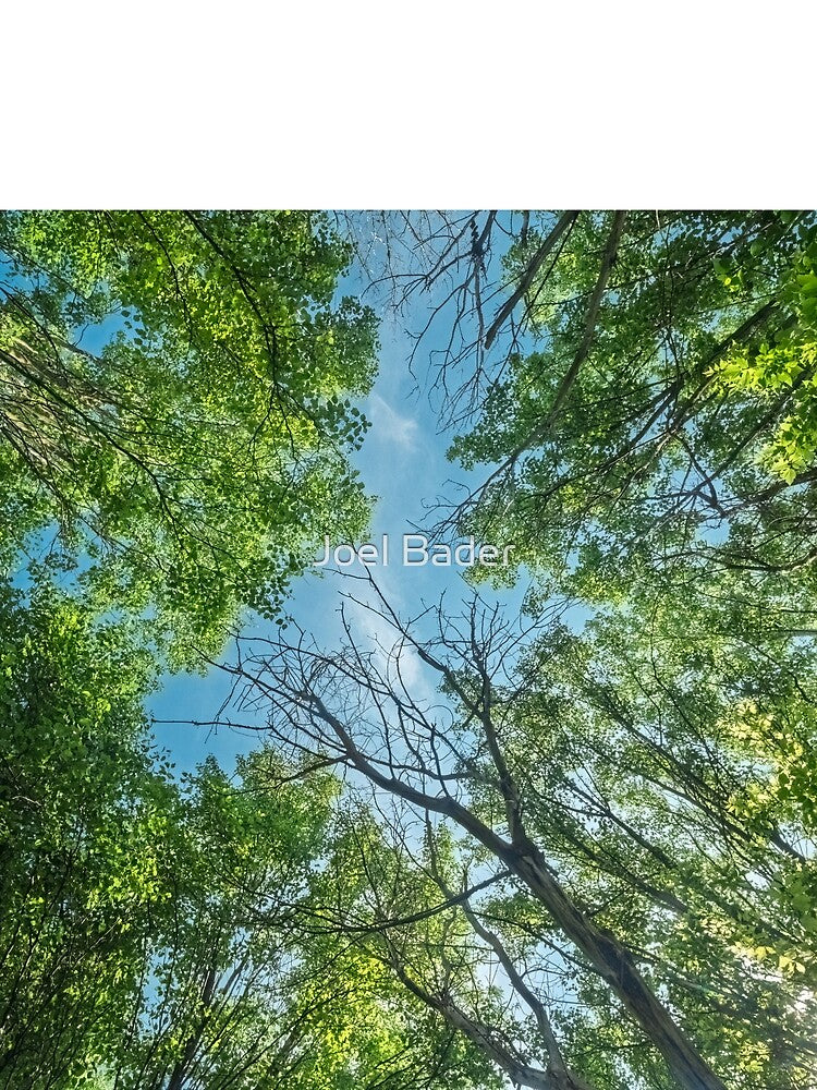 Looking to the top of the forest by Joel Bader T-Shirts, Hoodie, Sweatshirt | BlankRebels.com (Image 2)