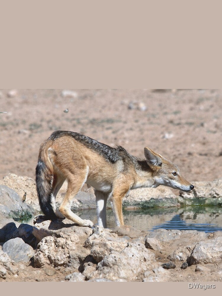 Blackbacked Jackal at a waterhole by DWeyers T-Shirts, Hoodie, Sweatshirt | BlankRebels.com (Image 2)