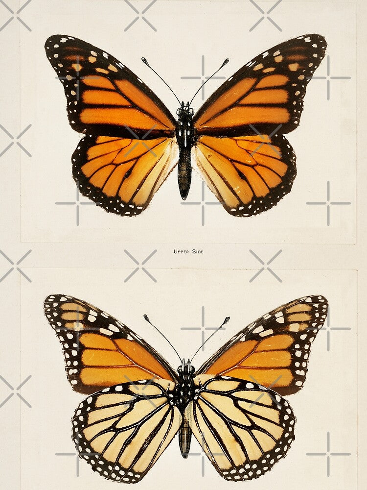 monarch butterfly by venusbyliv T-Shirts, Hoodie, Sweatshirt | BlankRebels.com (Image 2)