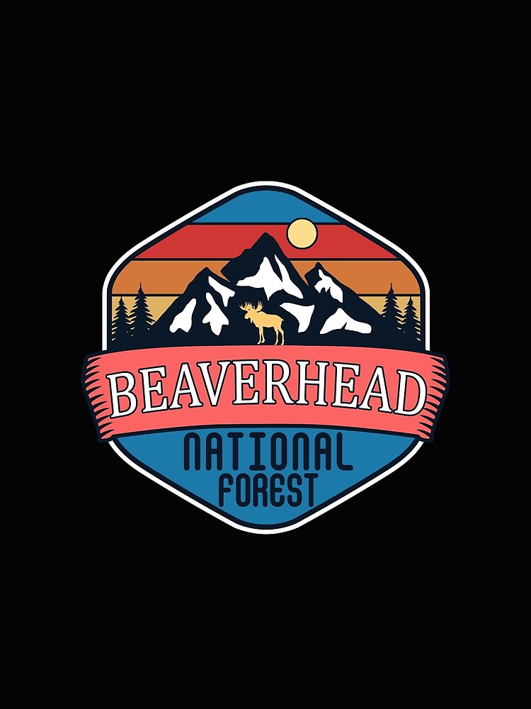 Beaverhead National Forest by Road-tees Hoodie, Sweatshirt | BlankRebels.com (Image 2)