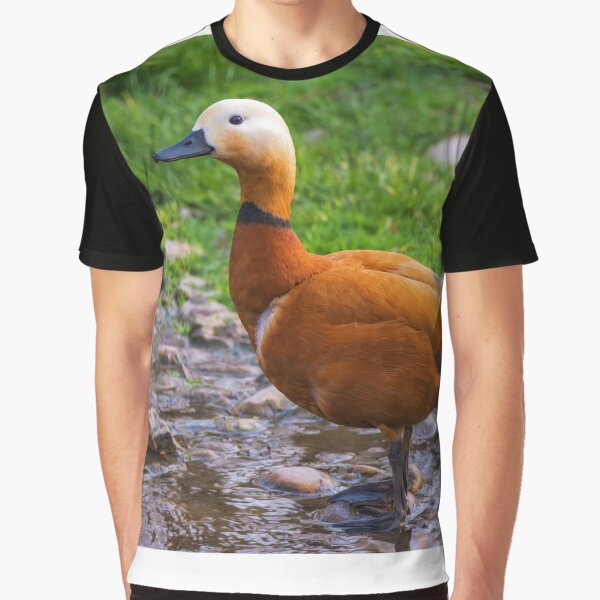 The wild goose by the water, photography design by DegoPine  Art Studio T-Shirts, Hoodie, Sweatshirt (Image 1)