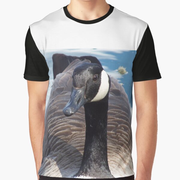 Canada Goose (Branta canadensis) by FastRapidash T-Shirts, Hoodie, Sweatshirt | BlankRebels.com (Image 1)