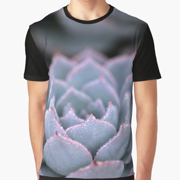 Morning Echeveria #3 by ALICIA BOCK T-Shirts, Hoodie, Sweatshirt | BlankRebels.com (Image 1)