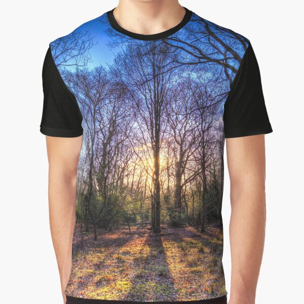 The Morning Sun Forest by Londonimages T-Shirts, Hoodie, Sweatshirt | BlankRebels.com (Image 1)