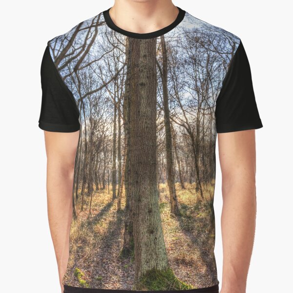 Peace In the Morning Forest by Londonimages T-Shirts, Hoodie, Sweatshirt | BlankRebels.com (Image 1)