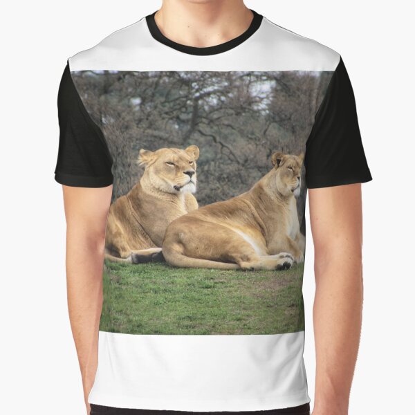 Two Lioness' at Yorkshire Wildlife Park. by Rosie Simpson T-Shirts, Hoodie, Sweatshirt | BlankRebels.com (Image 1)