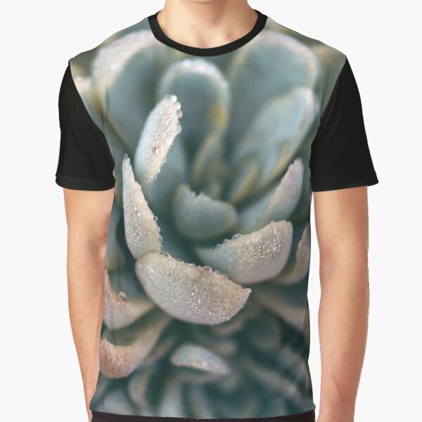 Autumn Succulent #2 by ALICIA BOCK T-Shirts, Hoodie, Sweatshirt | BlankRebels.com (Image 1)
