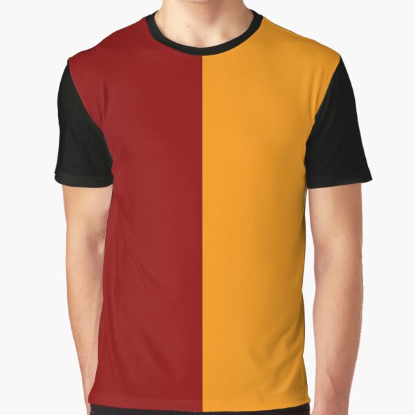 house of lions minimalist color block vertical by neopop T-Shirts, Hoodie, Sweatshirt | BlankRebels.com (Image 1)
