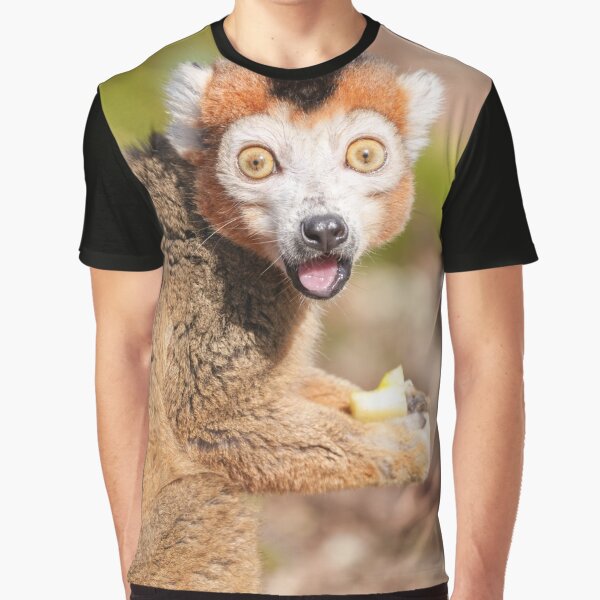 Crowned Lemur's Surprise A Candid Expression by rawshutterbug T-Shirts, Hoodie, Sweatshirt | BlankRebels.com (Image 1)