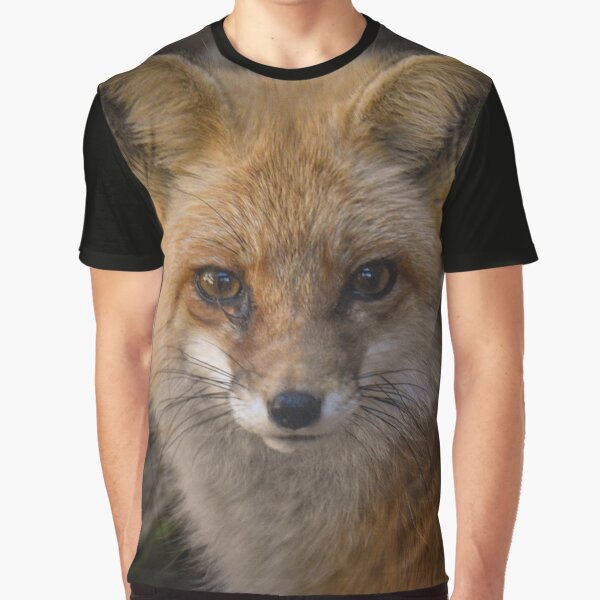 sly red fox stare down by aim4adventure T-Shirts, Hoodie, Sweatshirt | BlankRebels.com (Image 1)