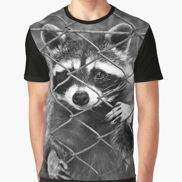 Little raccoon buddy coon by TheBigShop1 T-Shirts, Hoodie, Sweatshirt | BlankRebels.com (Image 1)