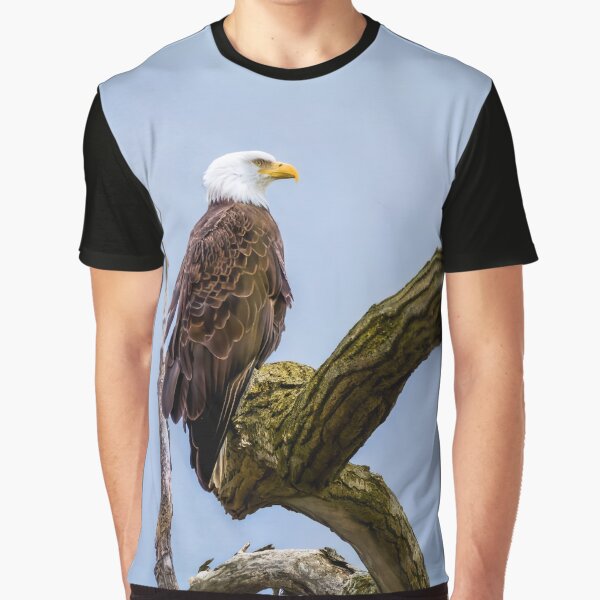 Eagle at the Refuge by Hoot's House of Fun T-Shirts, Hoodie, Sweatshirt | BlankRebels.com (Image 1)