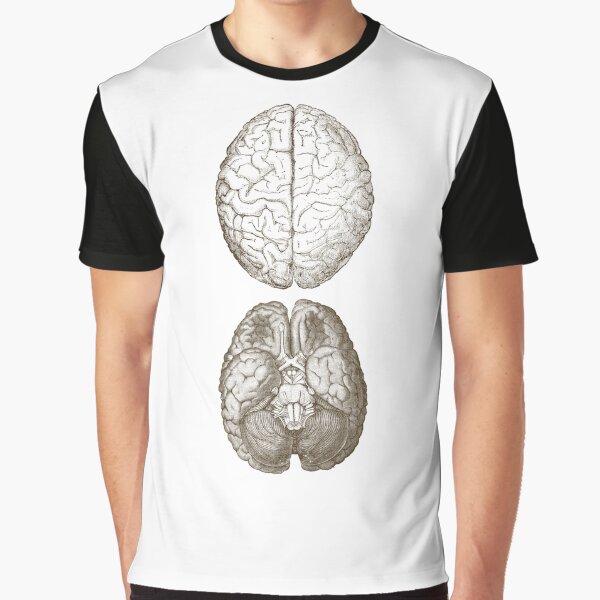 human brain anatomy sketch by Kate Made ART T-Shirts, Hoodie, Sweatshirt | BlankRebels.com (Image 1)
