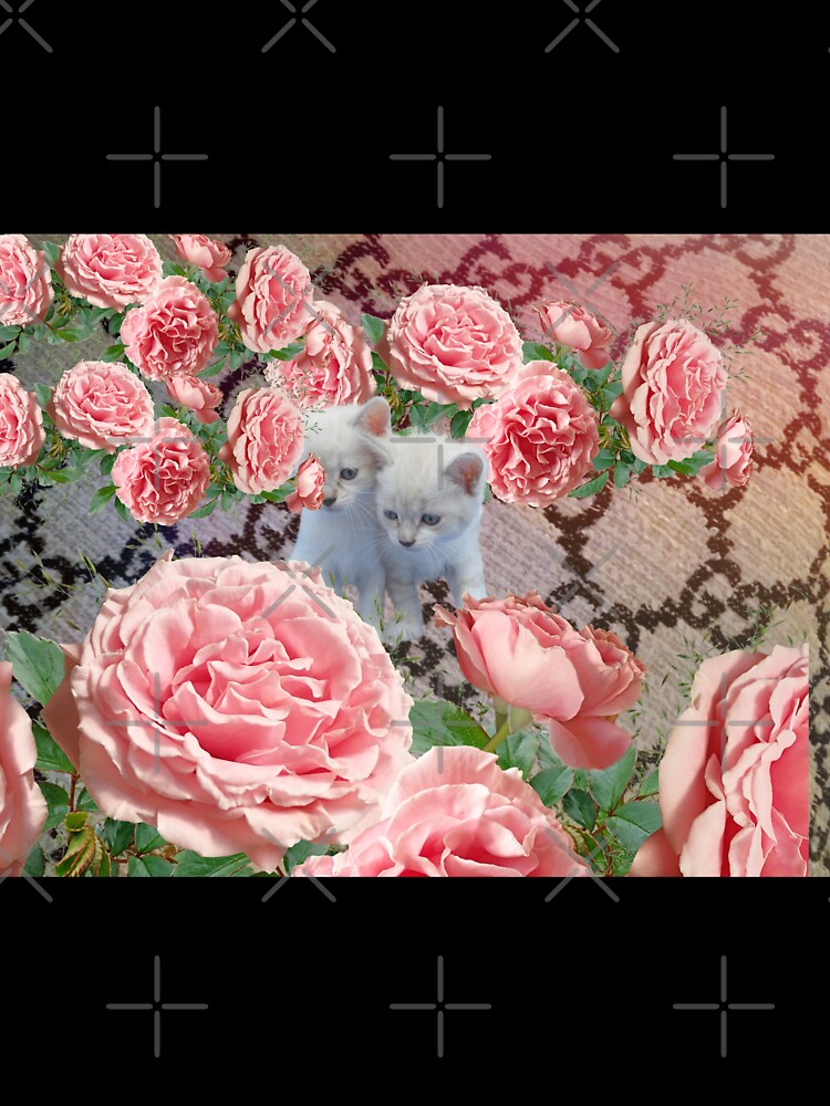 Kittens and Roses designer by Aquila Light Pictures