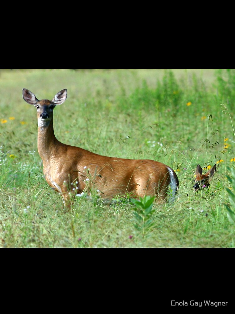 Doe in the field by Enola Gay Wagner T-Shirts, Hoodie, Sweatshirt | BlankRebels.com (Image 3)