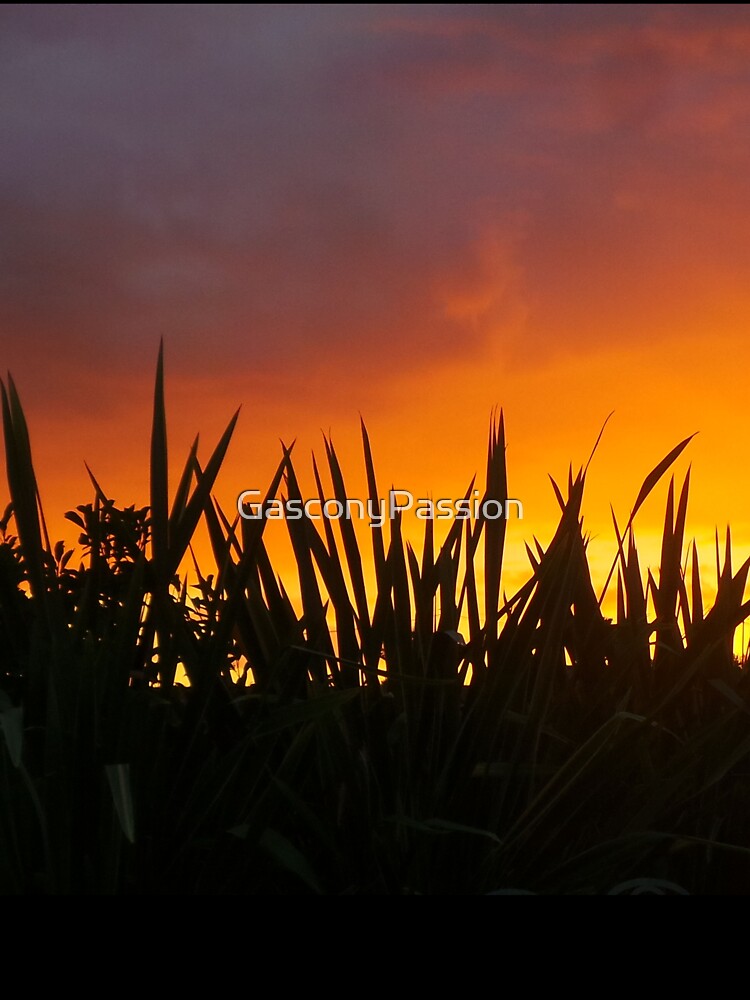 Exotic Gascony Sunset by GasconyPassion T-Shirts, Hoodie, Sweatshirt | BlankRebels.com (Image 3)