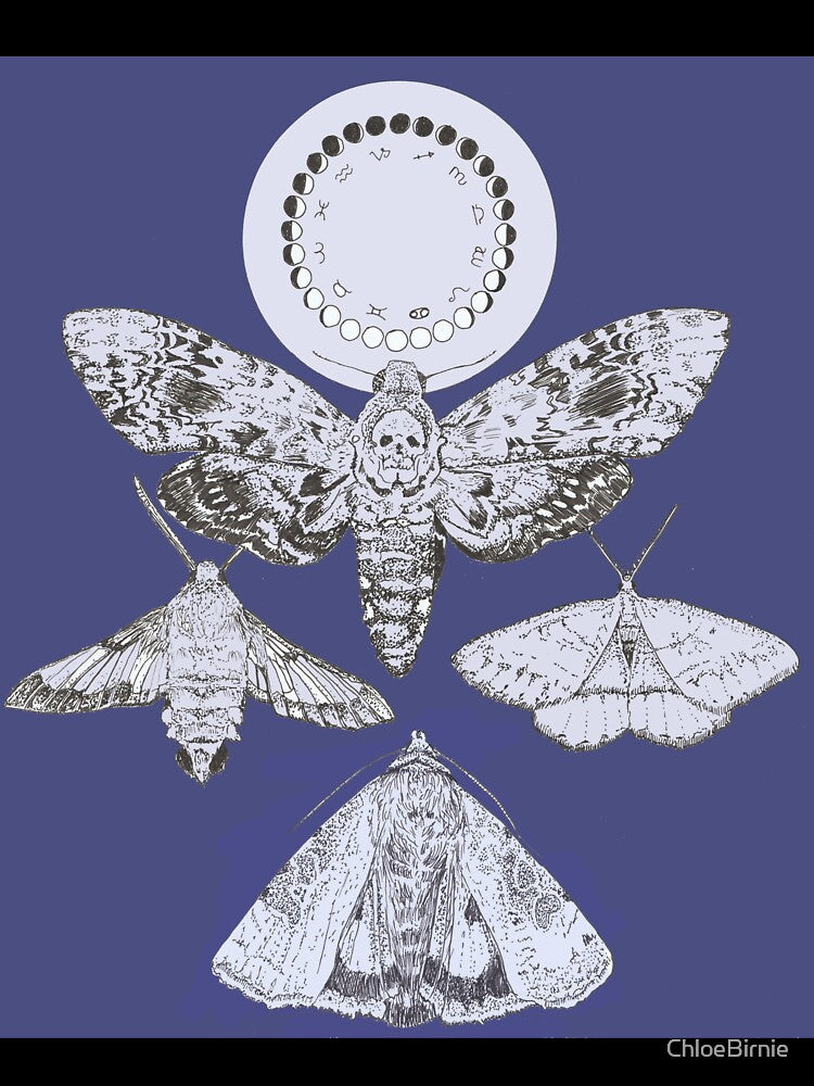Luna Moths by ChloeBirnie T-Shirts, Hoodie, Sweatshirt | BlankRebels.com (Image 3)