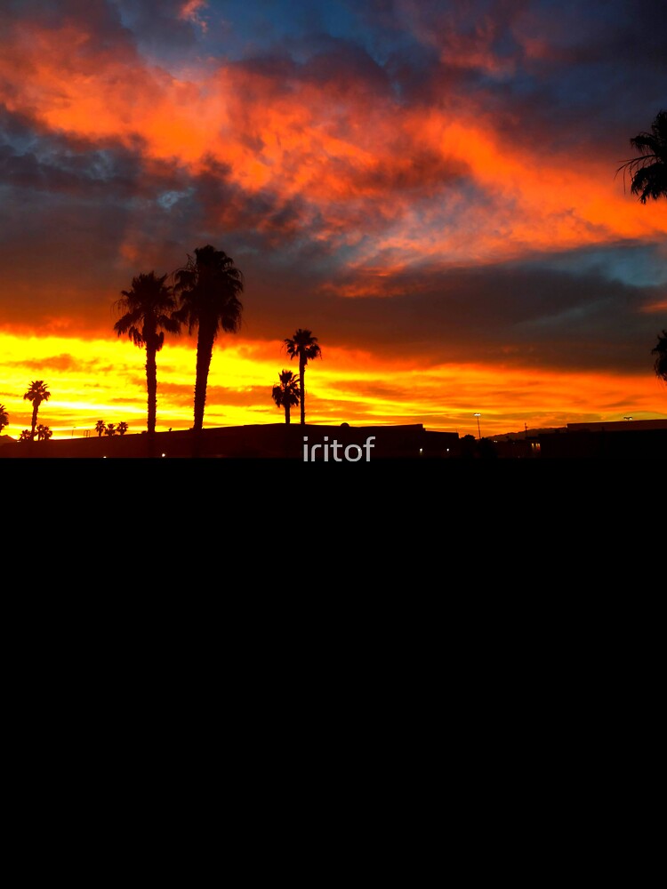 Red hot Palm treesSunset landscape by Iritof by iritof T-Shirts, Hoodie, Sweatshirt | BlankRebels.com (Image 3)