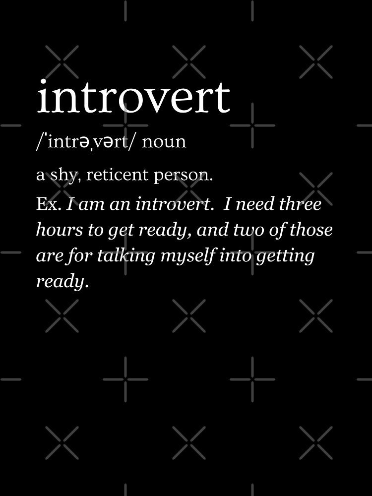 definition INTROVERT by Shadyfruit T-Shirts, Hoodie, Sweatshirt | BlankRebels.com (Image 3)