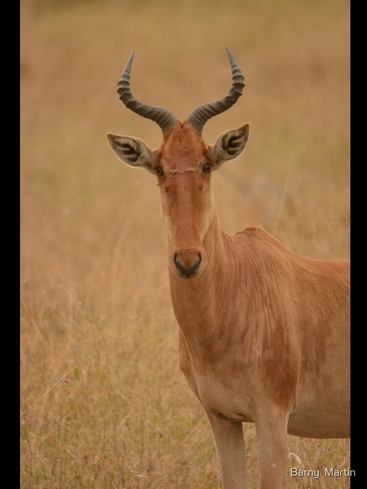 Hartebeest by Barny  Martin T-Shirts, Hoodie, Sweatshirt | BlankRebels.com (Image 3)