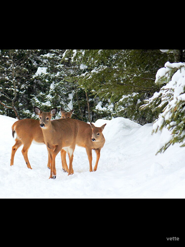 Beautiful Deer Foursome. by vette T-Shirts, Hoodie, Sweatshirt | BlankRebels.com (Image 3)