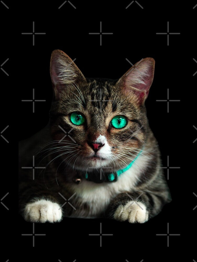 Tabby Cat by BellaProject T-Shirts, Hoodie, Sweatshirt | BlankRebels.com (Image 3)