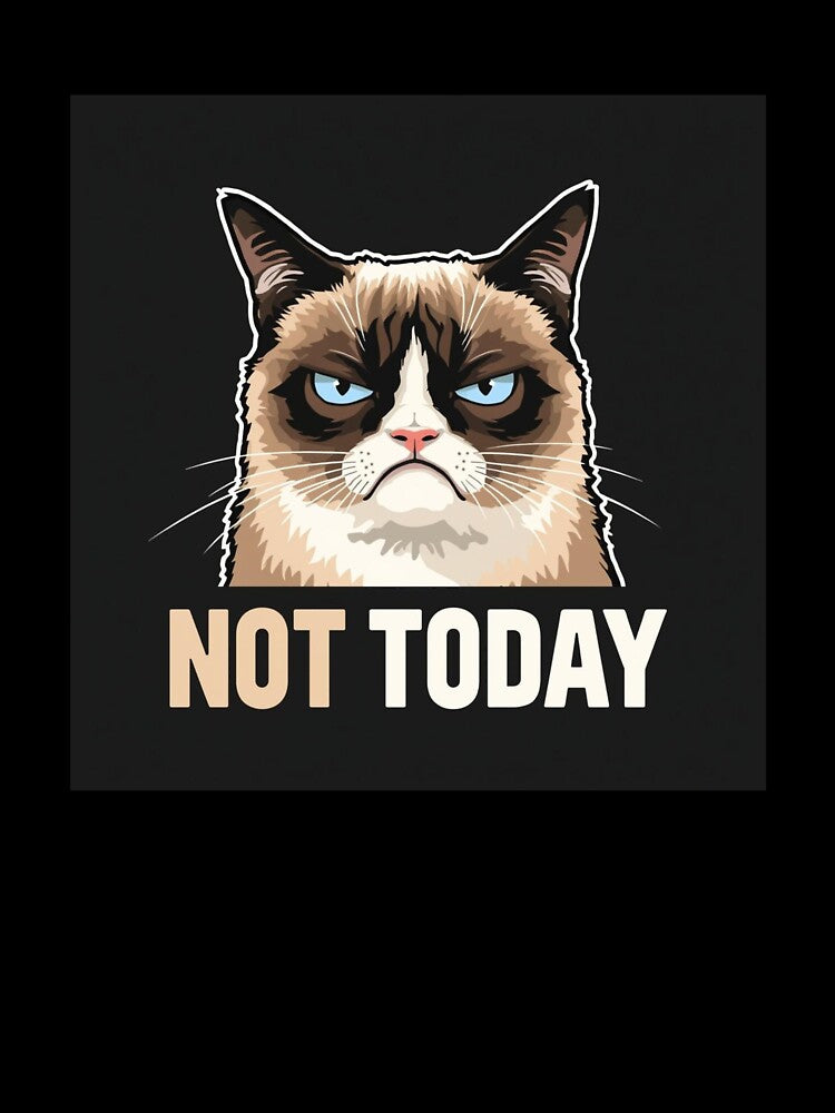 Not Today Scowling Cat Minimalist Design by PunchlinePress