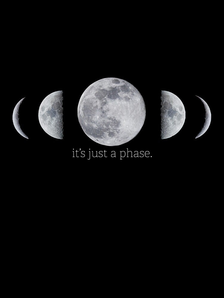 It’s Just a Phase by Breathe Love T-Shirts, Hoodie, Sweatshirt | BlankRebels.com (Image 3)