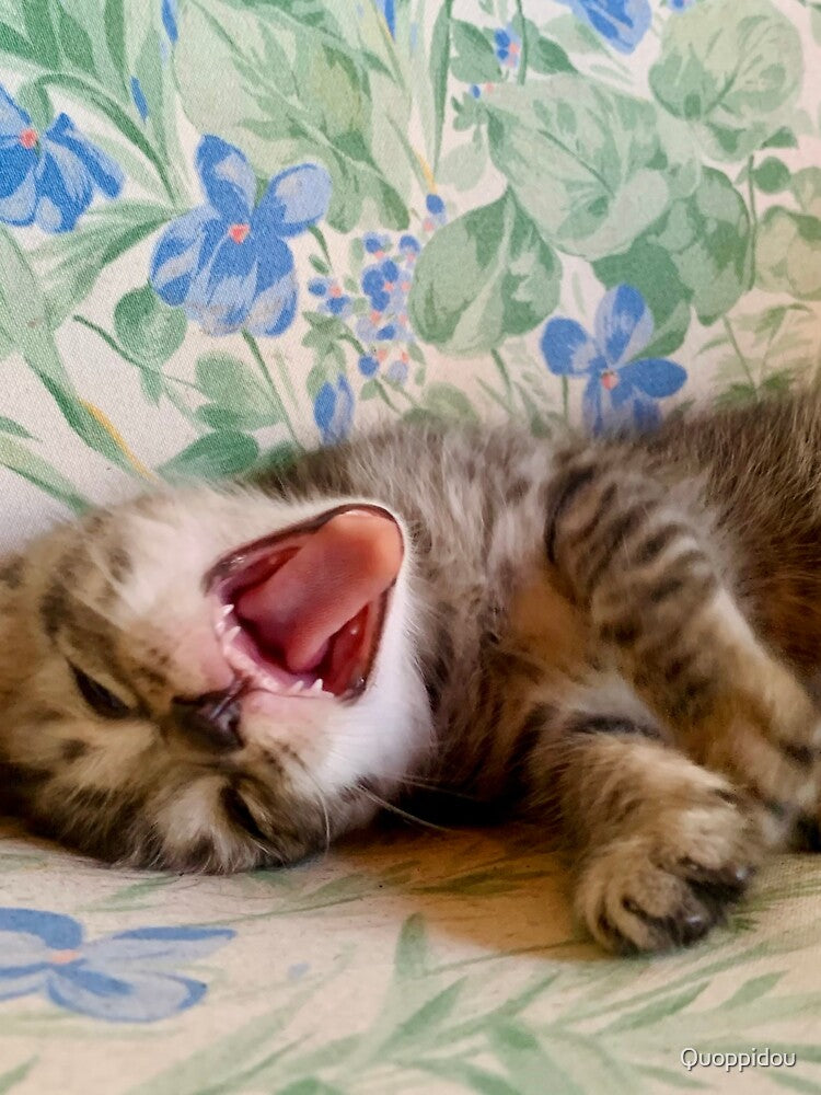 Cute Yawning Kitten by Quoppidou T-Shirts, Hoodie, Sweatshirt | BlankRebels.com (Image 3)