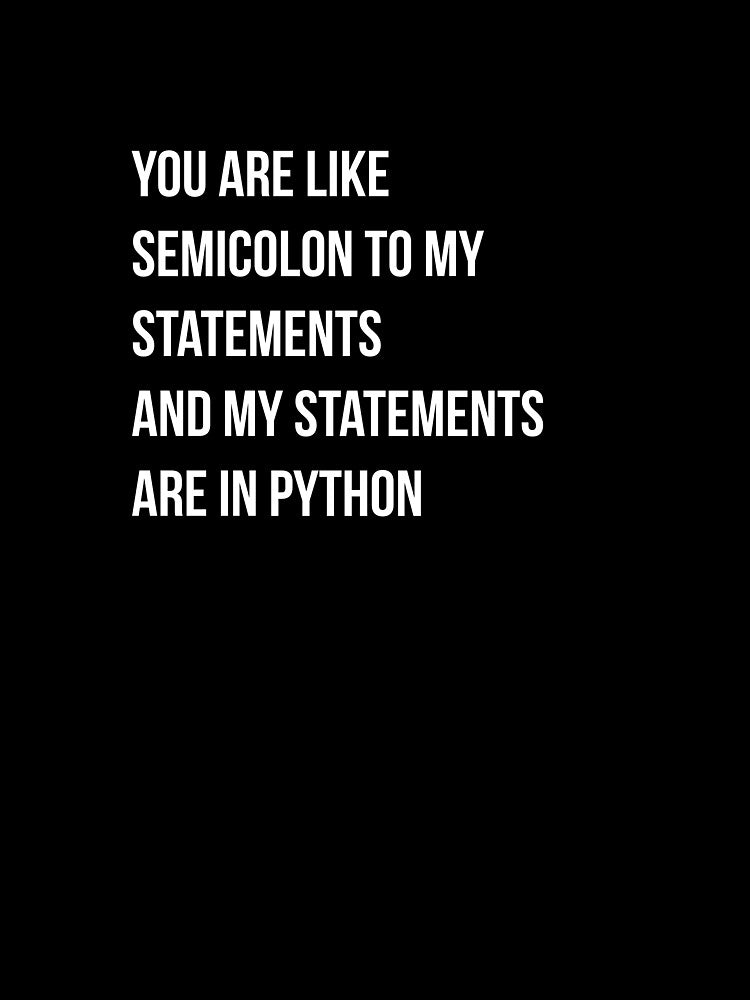 Python Programmer by SparkleJimmy T-Shirts, Hoodie, Sweatshirt | BlankRebels.com (Image 3)