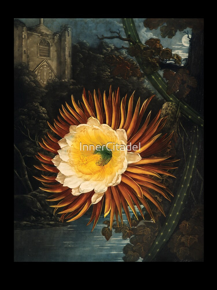 The Night-Flowering Cactus Botanical Painting by InnerCitadel T-Shirts, Hoodie, Sweatshirt | BlankRebels.com (Image 3)