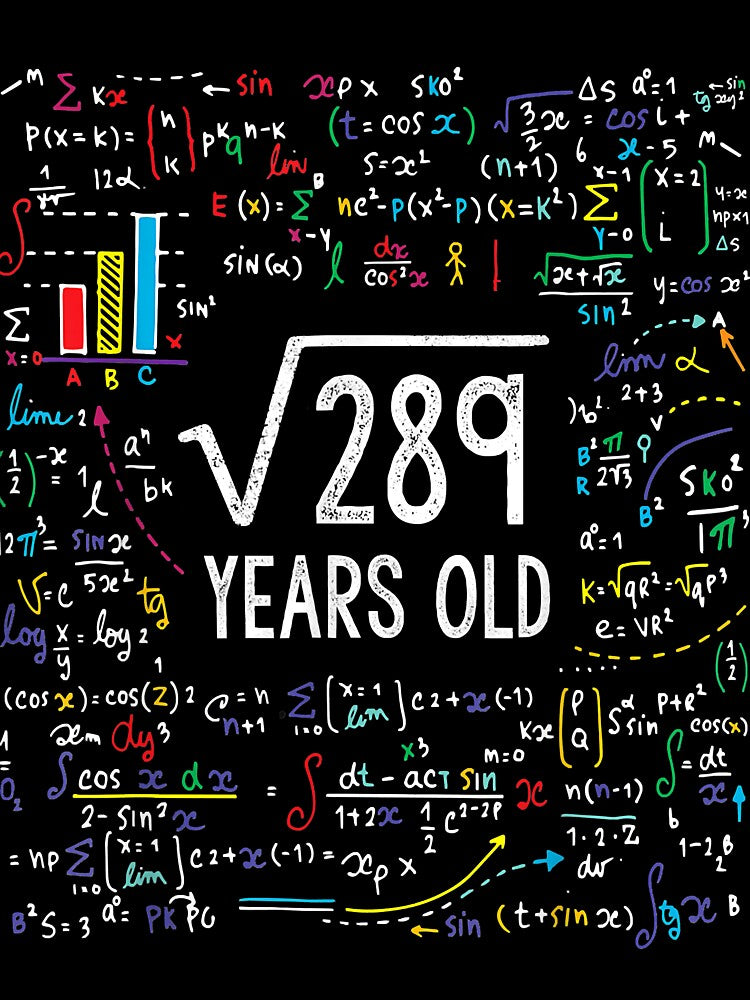 Square Root Of 289 17th Birthday 17 Year Old Gifts Math Bday by Plinio12323 T-Shirts, Hoodie, Sweatshirt (Image 3)