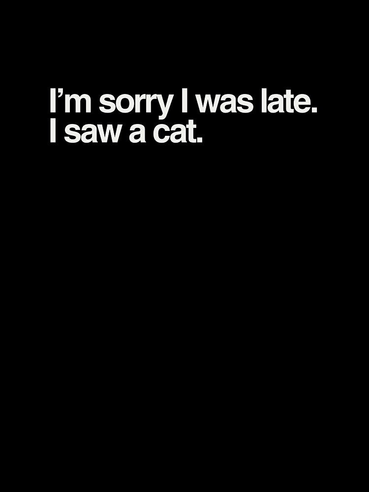 Sorry I Am Late. I Saw a Cat – Funny Cat Lover T-Shirts, Hoodies, Hats & Gifts by Kaylews_Designs Sweatshirt (Image 3)