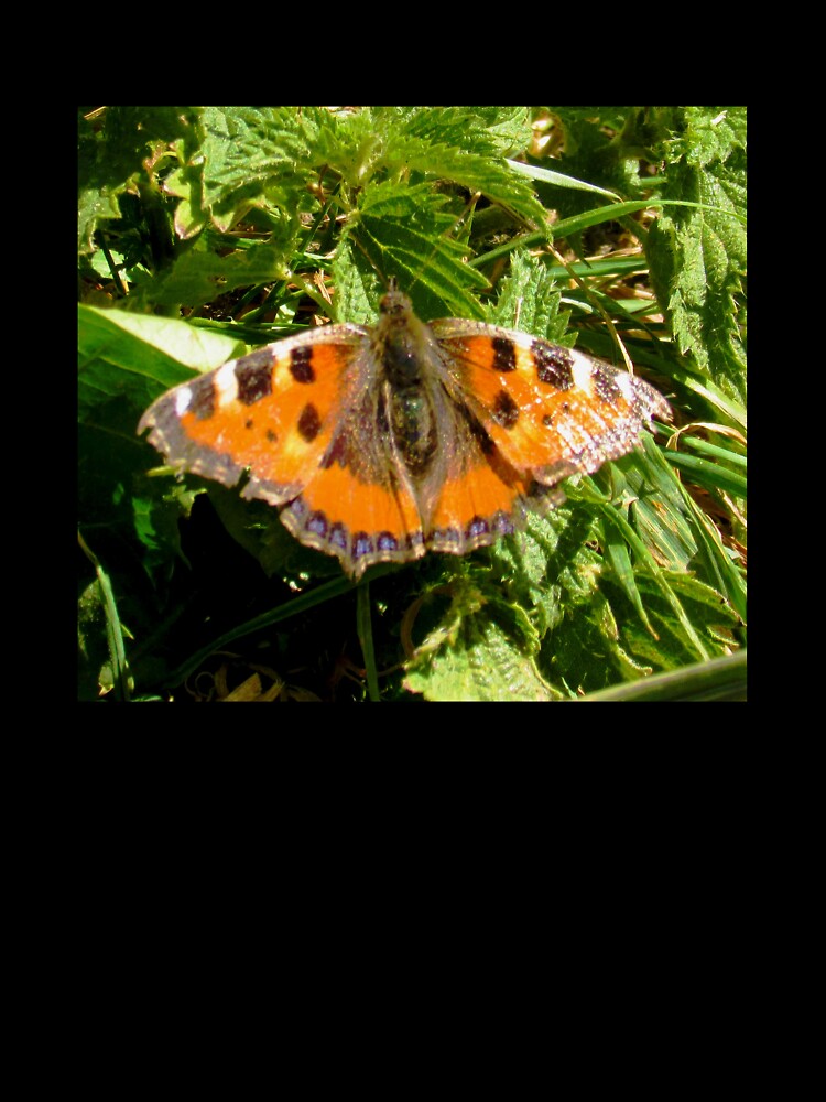 Small Tortoiseshell butterfly design by Swirling_UniverseShop T-Shirts, Hoodie, Sweatshirt | BlankRebels.com (Image 3)