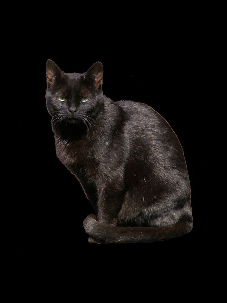 Halloween black cat by Rosefurn T-Shirts, Hoodie, Sweatshirt | BlankRebels.com (Image 3)