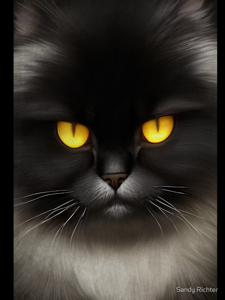 Funny Angry Fluffy Black Persian Kitty Cat Face by Sandy Richter T-Shirts, Hoodie, Sweatshirt | BlankRebels.com (Image 3)