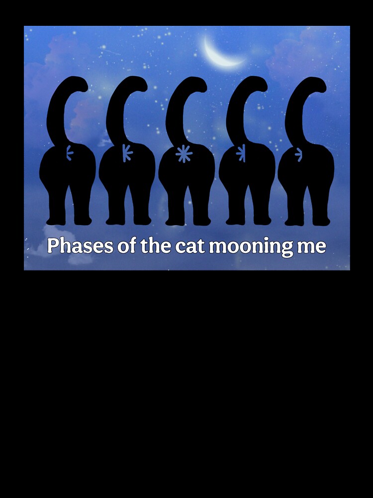 Cat moon phases by MannyShop T-Shirts, Hoodie, Sweatshirt | BlankRebels.com (Image 3)