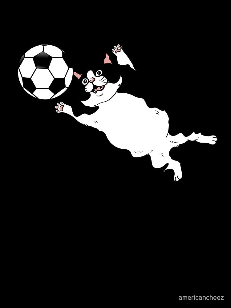 Cat Goalie by AMERICANCHEEZ