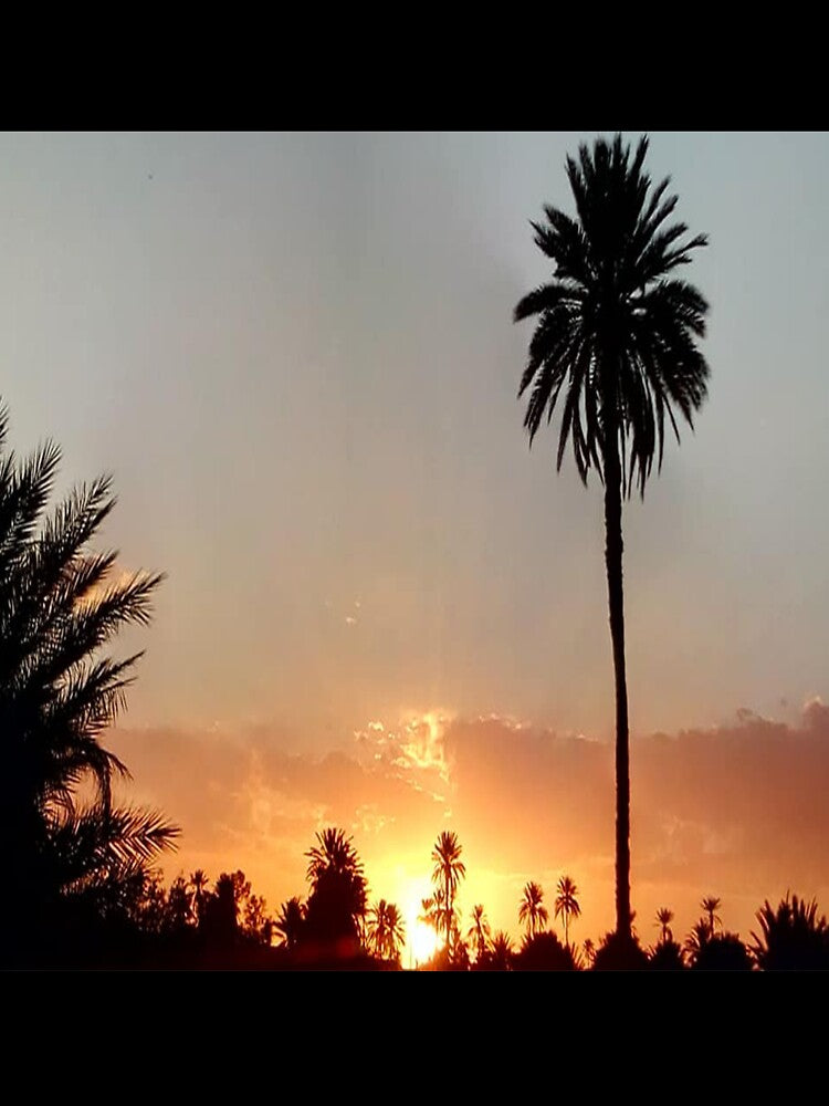 A beautiful red sunset with palm and red sky by faridman T-Shirts, Hoodie, Sweatshirt | BlankRebels.com (Image 3)